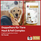 Doppelherz Skin & Coat Complex for Dogs | Omega-3 & 6, Biotin, Zinc & Vitamins | Healthy Skin & Shiny Coat Support | 60 Chews | PZN 17305666
