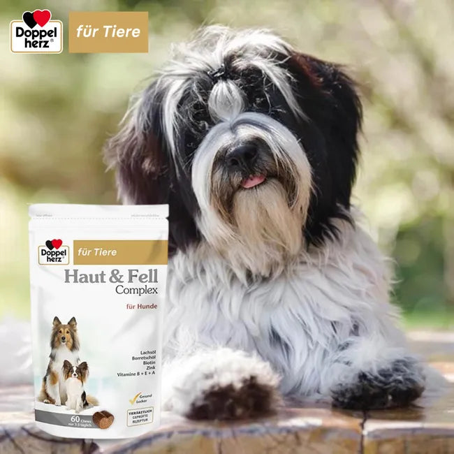 Doppelherz Skin & Coat Complex for Dogs | Omega-3 & 6, Biotin, Zinc & Vitamins | Healthy Skin & Shiny Coat Support | 60 Chews | PZN 17305666