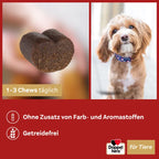 Doppelherz Skin & Coat Complex for Dogs | Omega-3 & 6, Biotin, Zinc & Vitamins | Healthy Skin & Shiny Coat Support | 60 Chews | PZN 17305666