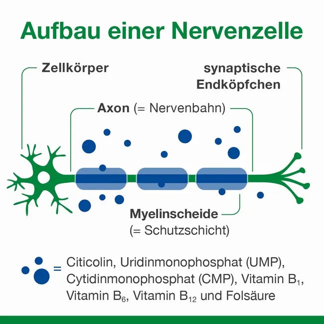 neuroLoges Concept | Citicoline 250 mg + UMP, CMP, Vitamins B1, B6, B12 & Methylfolate | Nerve Support | 30 Capsules | PZN 17308110
