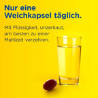MacuShield Original+ | Eye Health with Lutein, Meso-Zeaxanthin & Zeaxanthin | LMZ Formula | 90 Capsules | PZN 17868961