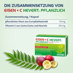Eisen + C Hevert pflanzlich | Plant-Based Iron + Natural Vitamin C | Energy, Blood Formation & Reduced Fatigue | Vegan | 60 Capsules | PZN 18307242