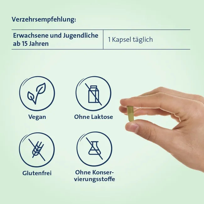 Eisen + C Hevert pflanzlich | Plant-Based Iron + Natural Vitamin C | Energy, Blood Formation & Reduced Fatigue | Vegan | 60 Capsules | PZN 18307242