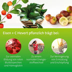 Eisen + C Hevert pflanzlich | Plant-Based Iron + Natural Vitamin C | Energy, Blood Formation & Reduced Fatigue | Vegan | 60 Capsules | PZN 18307242