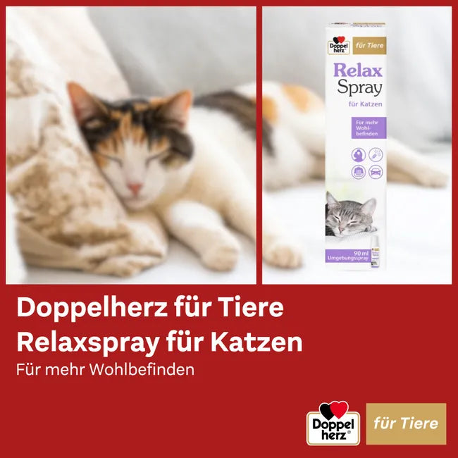 Doppelherz Relax Spray for Cats | Synthetic Feline Pheromones & Lavender | Calming Environment Spray for Home & Travel | 90 ml | PZN 18404689