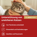 Doppelherz Relax Spray for Cats | Synthetic Feline Pheromones & Lavender | Calming Environment Spray for Home & Travel | 90 ml | PZN 18404689