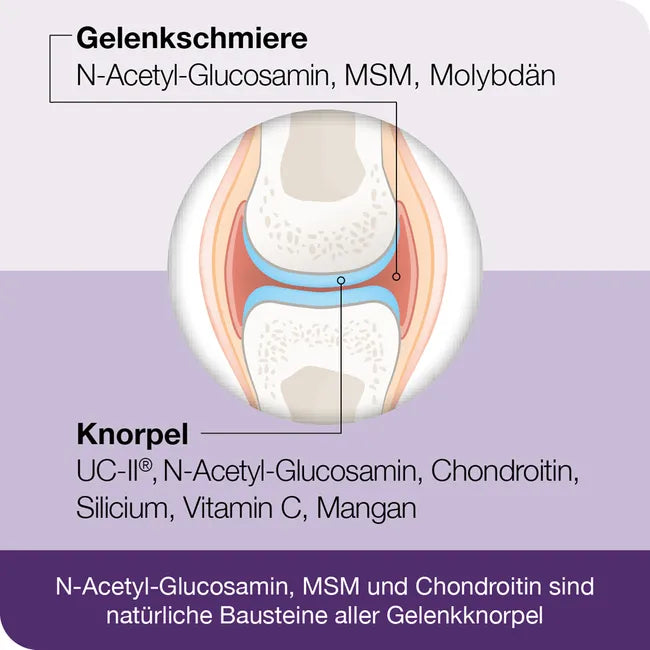 flexiLoges Knorpel Aktiv | UC-II® Type II Collagen + NAG, MSM & Chondroitin | Joint & Cartilage Support | 240 Capsules | PZN 18784628