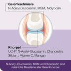 flexiLoges Knorpel Aktiv | UC-II® Type II Collagen + NAG, MSM & Chondroitin | Joint & Cartilage Support | 240 Capsules | PZN 18784628