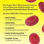 Bach RESCURA Berry Mix Pastilles 250g | Original Bach® Flower Essence Blend | Sugar-Free | Vegan | 5 × 50 g | Family Value Pack PZN 19096385