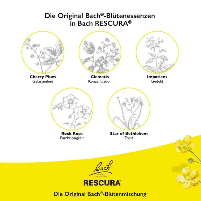 Bach RESCURA Kids Alcohol-Free Drops | Original Bach® Flower Essence Blend | Strawberry Flavor | Alcohol-Free | 10 ml | PZN 19169440