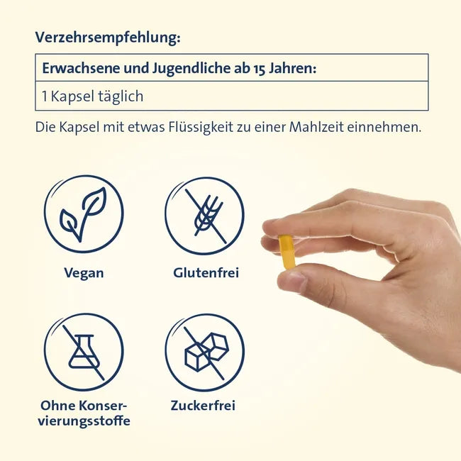 Vitamin B Complete Hevert All-in-One | All 8 B Vitamins + Choline, Betaine, Inositol & PABA | Vegan | 60 Capsules | PZN 19214749
