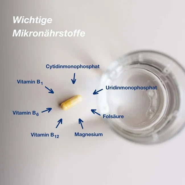 Orthomol 傲视宝神经营养素胶囊，90 粒 PZN 19440931