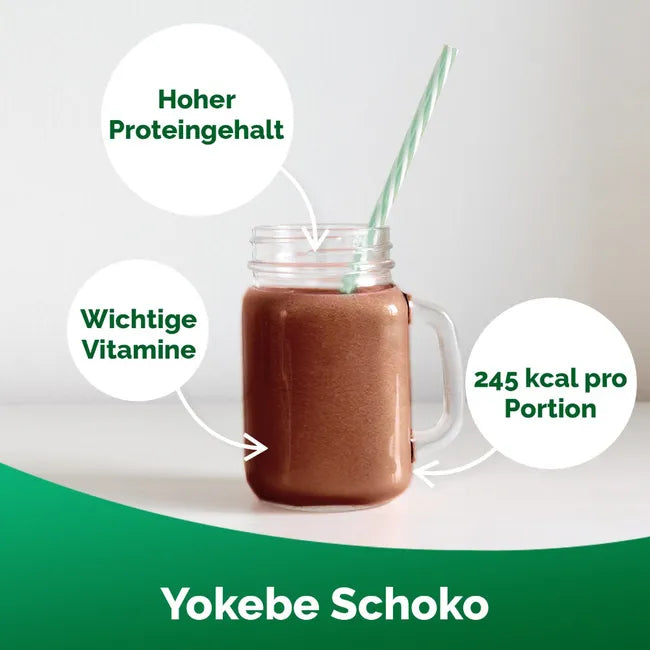 Yokebe Chocolate Meal Replacement Shake | 26.2 g Protein, Vitamins & Minerals | Vegan, Lactose & Gluten Free | 2 × 500 g | PZN 19446276