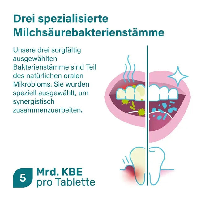 nupure probadent forte | 3 Oral Probiotic Strains, 5 Billion CFU, Vitamin D3 & Biotin | Oral Microbiome & Gum Support | 90 Lozenges | PZN 19453916