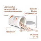 nupure proba GLP-1 Stoffwechsel Pro | Inulin, Resistant Dextrin, Probiotics & Chromium | Metabolism & Digestive Wellness | 30 Sachets | PZN 19513446