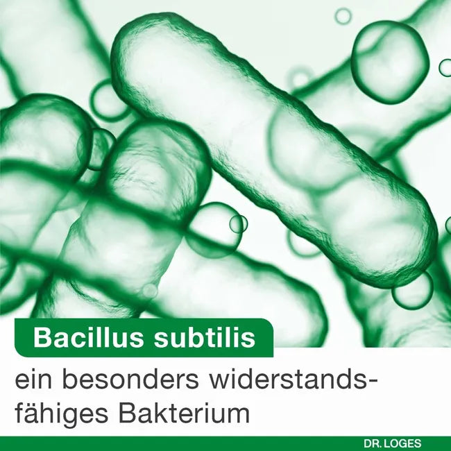 bioticLoges subtilis | Bacillus subtilis, Acacia Fiber & Calcium | Spore-Based Probiotic for Gut Health | 30 Capsules | PZN 20009865