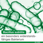 bioticLoges subtilis | Bacillus subtilis, Acacia Fiber & Calcium | Spore-Based Probiotic for Gut Health | 30 Capsules | PZN 20009865