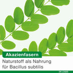 bioticLoges subtilis | Bacillus subtilis, Acacia Fiber & Calcium | Spore-Based Probiotic for Gut Health | 30 Capsules | PZN 20009865
