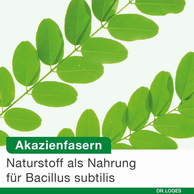 bioticLoges subtilis | Bacillus subtilis, Acacia Fiber & Calcium | Spore-Based Probiotic for Gut Health | 30 Capsules | PZN 20009865