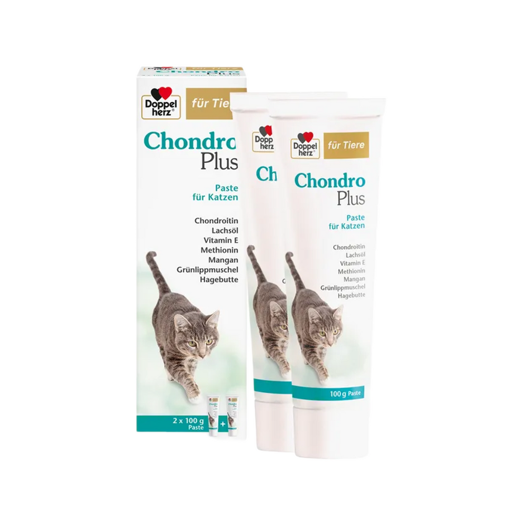Doppelherz Chondro Plus for Cats | Chondroitin, Green-Lipped Mussel & Salmon Oil | Joint & Mobility Support | 2 × 100 g Paste | PZN 19745263