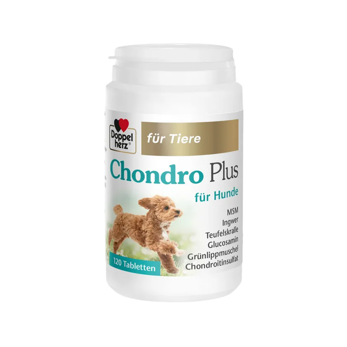 Doppelherz Chondro Plus for Dogs | Glucosamine, Chondroitin, MSM, Green-Lipped Mussel & Hyaluronic Acid | Joint & Mobility Support | 120 Tablets | PZN 19495636