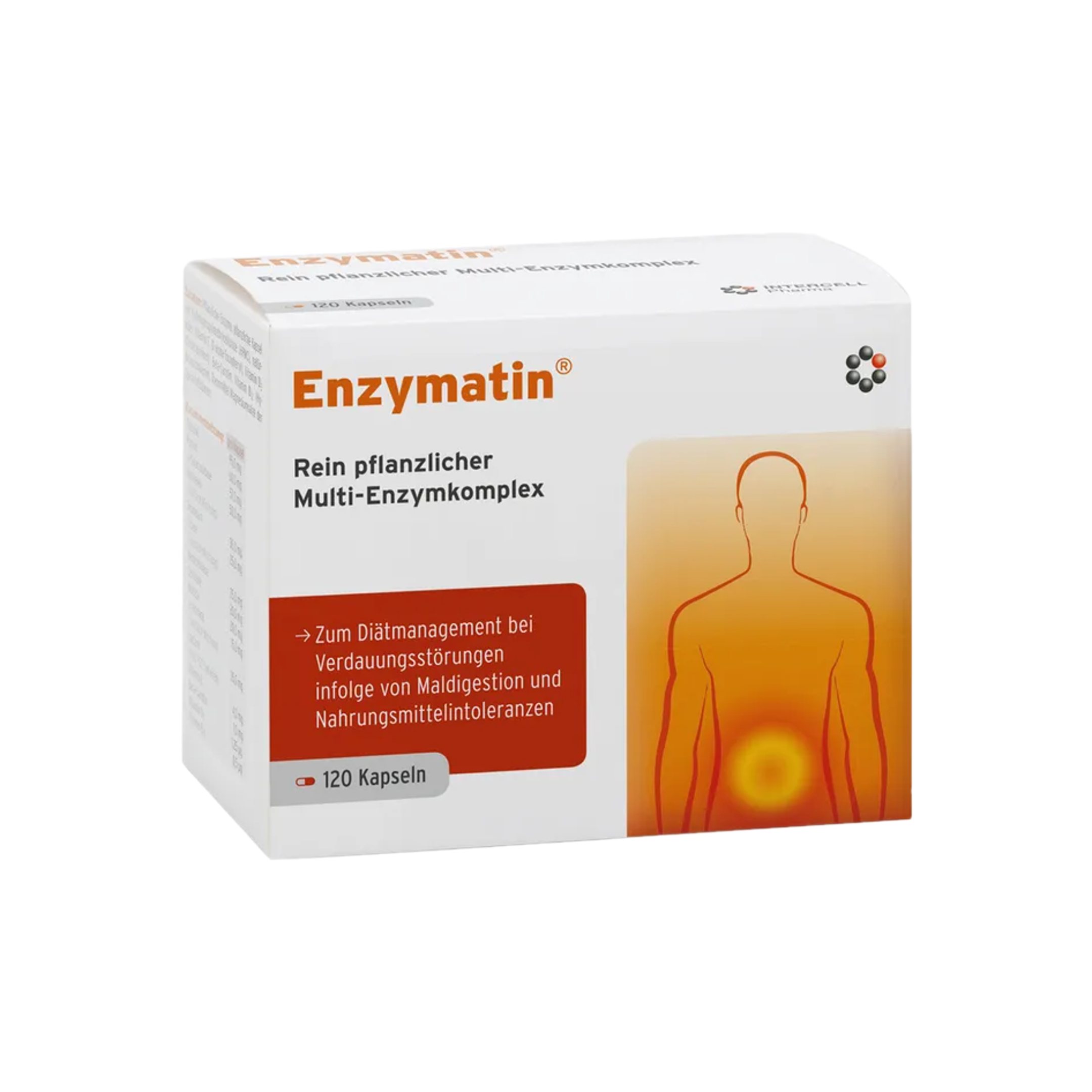 Enzymatin | Plant-Based Multi-Enzyme Complex for Maldigestion & Food Intolerances | 120 Capsules | PZN 03364323