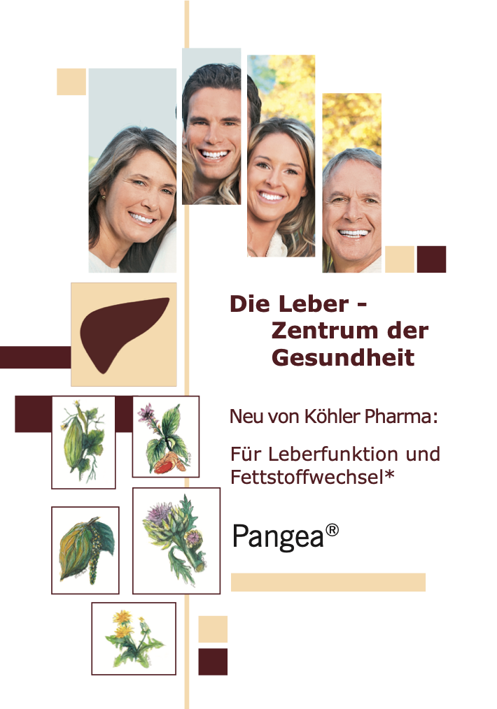 Pangea 胶囊，120 粒 PZN 16007518，肝功能和脂质代谢，素食胶囊