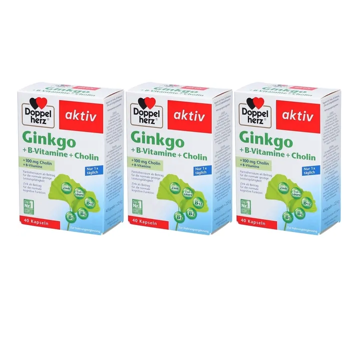 Doppelherz Ginkgo + B Vitamins + Choline 120 Capsules | Triple Pack | 3 × 40 Capsules | Memory, Concentration & Nervous System Support | With Ginkgo, Choline, Zinc & B Vitamins | Made in Germany