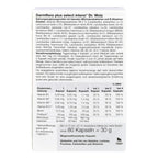 Dr. Wolz Darmflora plus select intens | 22 Bacterial Strains + 120 Billion Live Cultures & B Vitamins | 80 Capsules | PZN 13839425