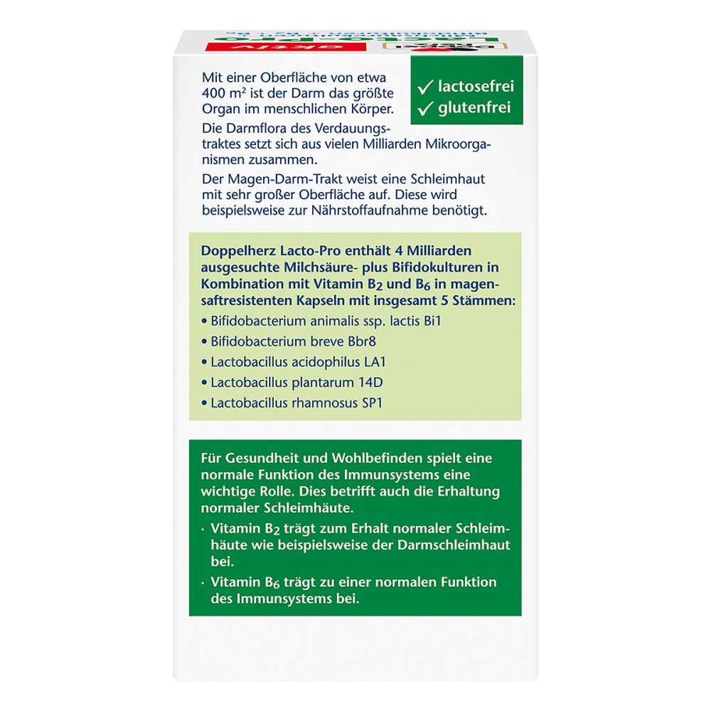 Doppelherz Lacto-Pro 胶囊，60 粒 PZN 19297801