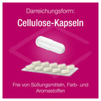Eisen Verla C purKaps | Iron 10 mg + Vitamin C 80 mg for Blood Formation & Energy | Vegan | 60 Capsules | PZN 15227152