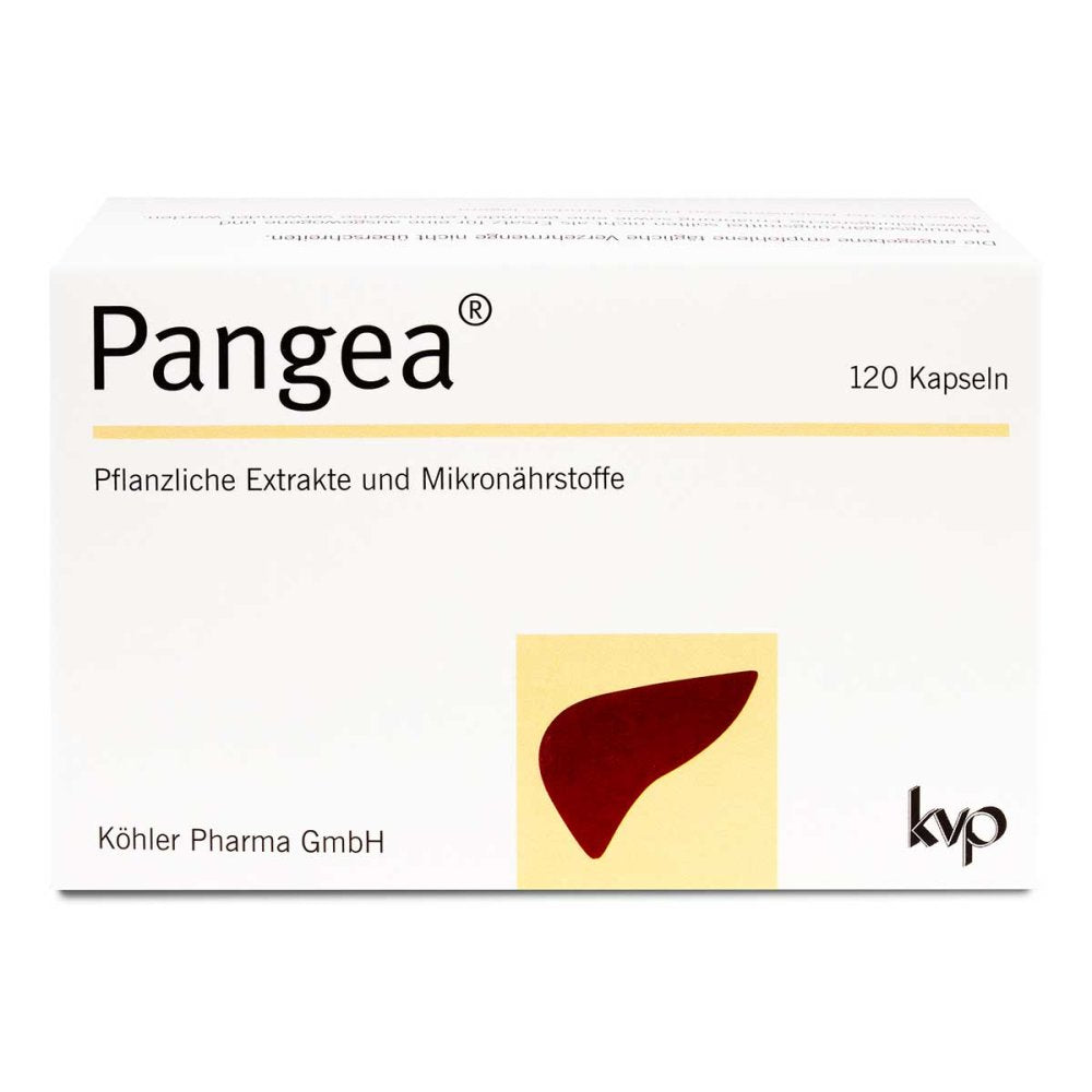 Pangea 胶囊，120 粒 PZN 16007518，肝功能和脂质代谢，素食胶囊