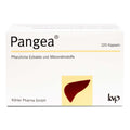 Pangea Capsules, 120 pcs PZN 16007518, Liver function and lipid metabolism, Vegan Capsules