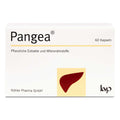 Pangea Capsules, 60 pcs PZN 16007501, Liver function and lipid metabolism, Vegan Capsules