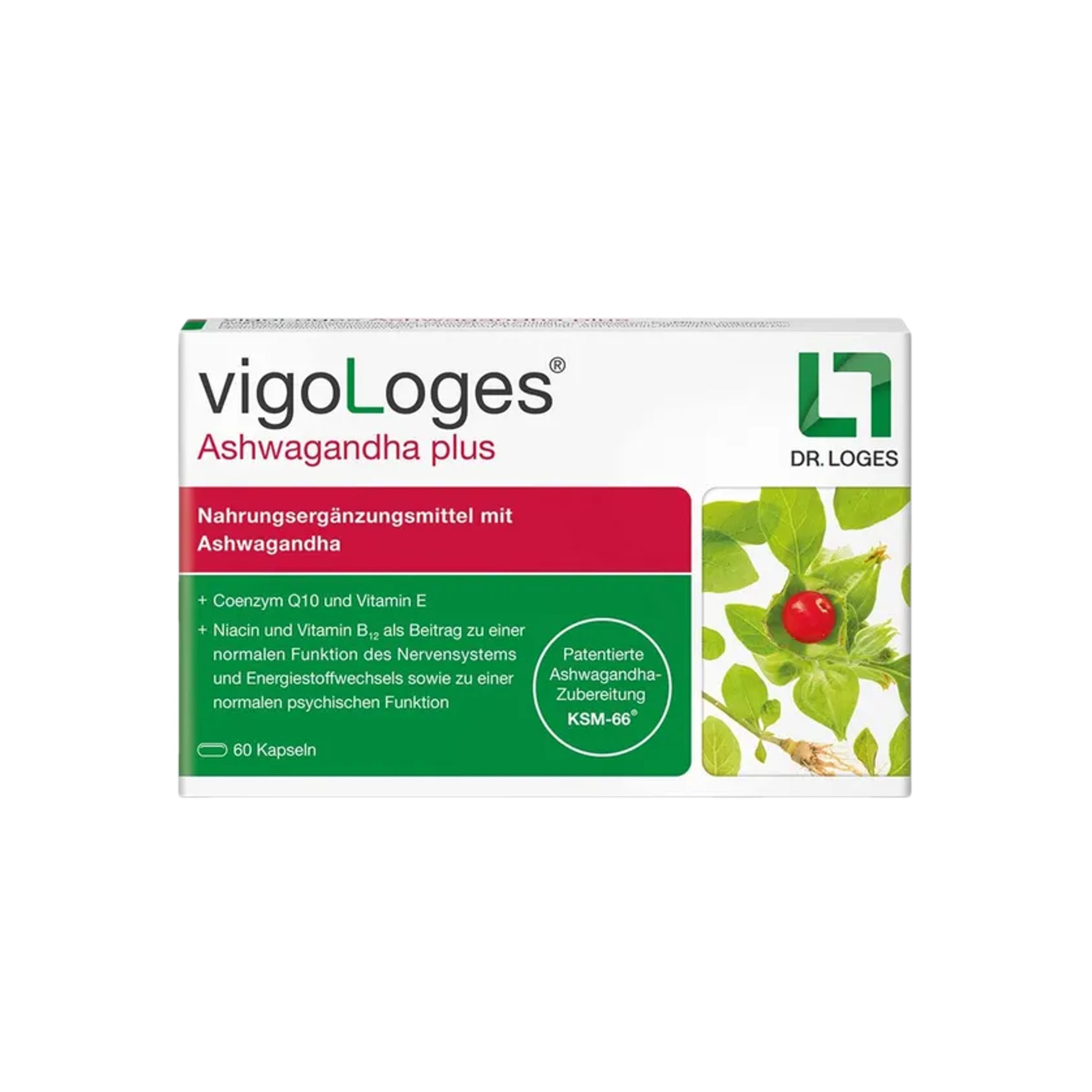 vigoLoges Ashwagandha Plus | KSM-66® Ashwagandha 600 mg + CoQ10, Vitamin B12, Niacin & Vitamin E | 120 Capsules | PZN 16901403